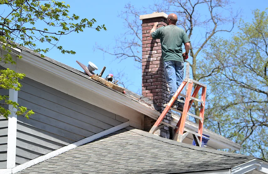 Chimney & Fireplace Inspections Services in Goldsboro, NC